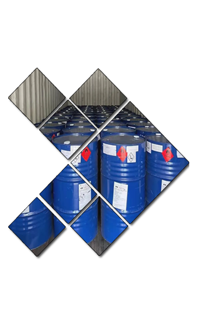 ���������ڱ���