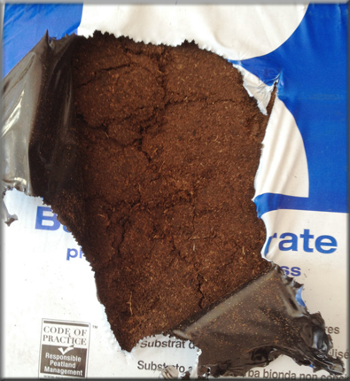 ������ʽ��ڱ���